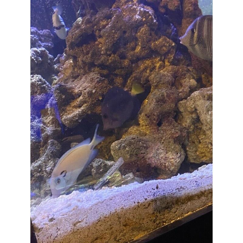 Shutting tank down