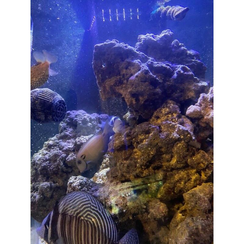 Shutting tank down