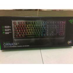 Razer hybrid v2 gaming keyboard