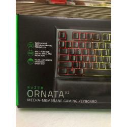 Razer hybrid v2 gaming keyboard