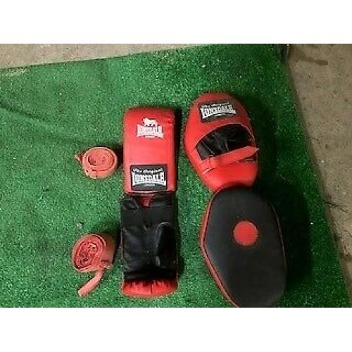 Focus pads and gloves