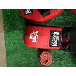 Focus pads and gloves