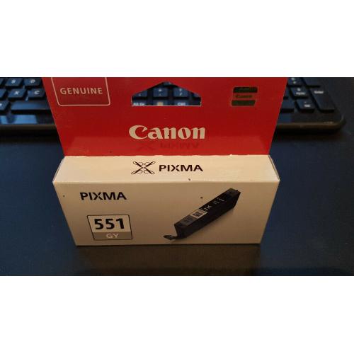 Canon 551 Grey ink cartridge