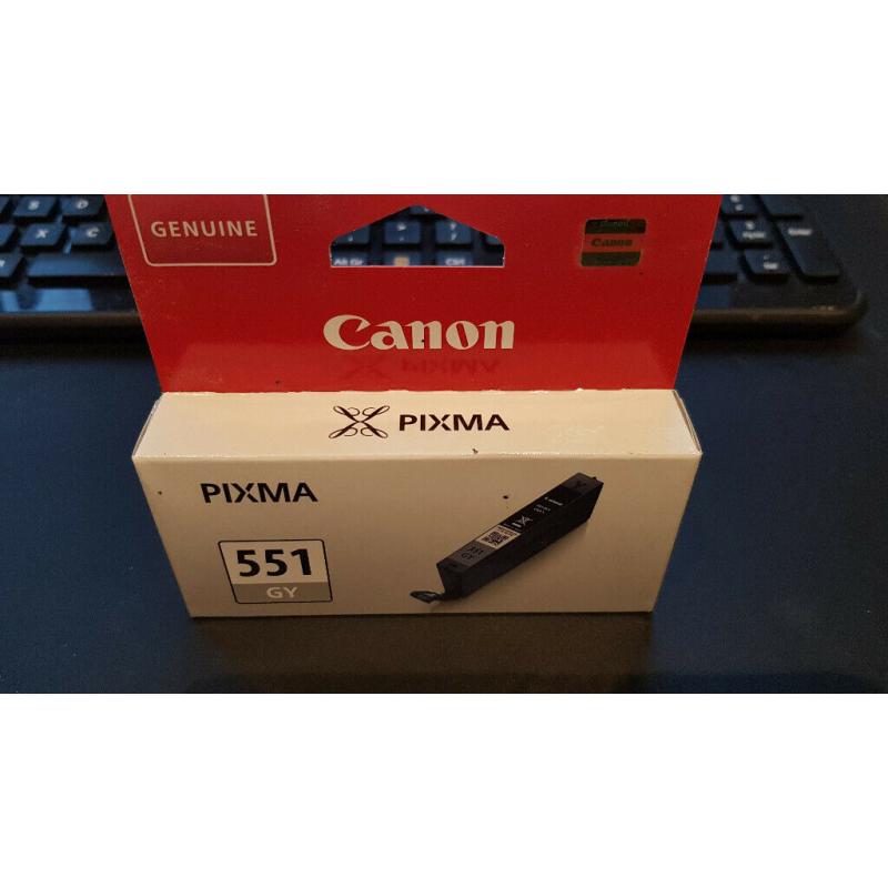 Canon 551 Grey ink cartridge