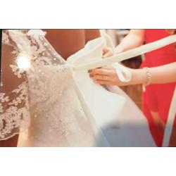 White Wedding dress &Viel