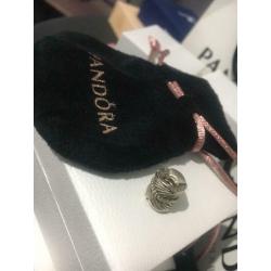 Pandora Feather Charm - Limited Edition