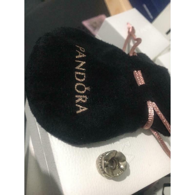 Pandora Feather Charm - Limited Edition