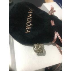 Pandora Feather Charm - Limited Edition