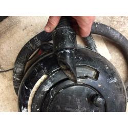 Henry hoover vacuum cleaner working