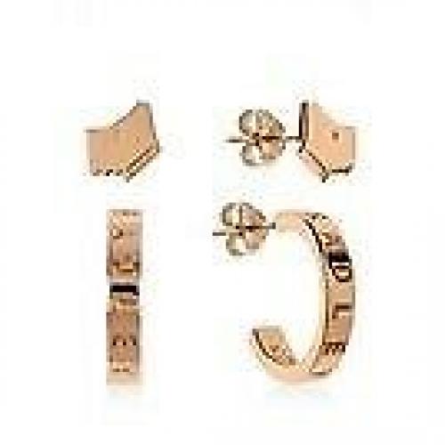 Radley rose gold new