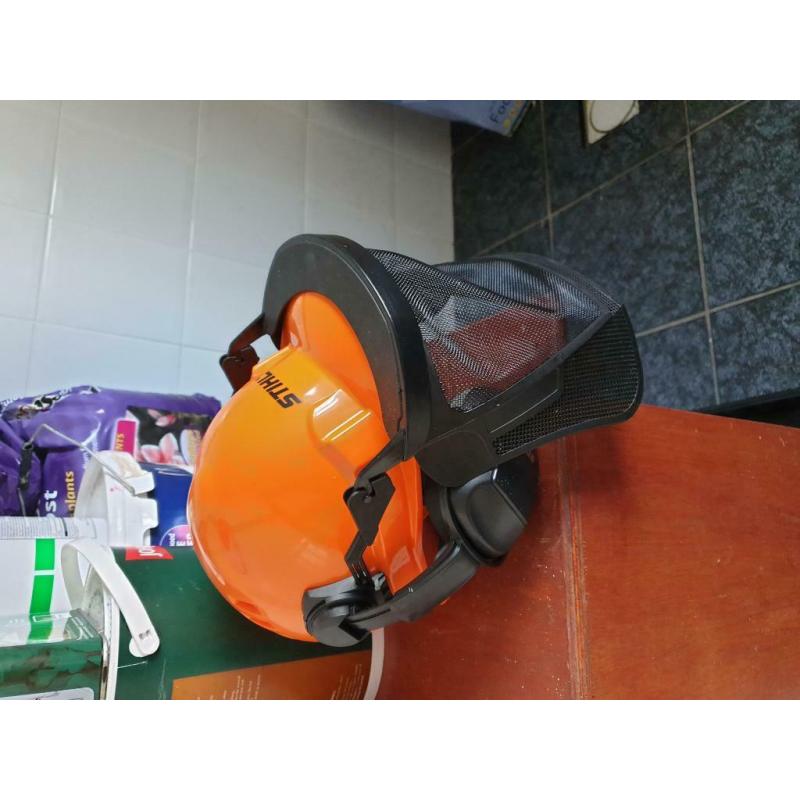 Chainsaw helmet