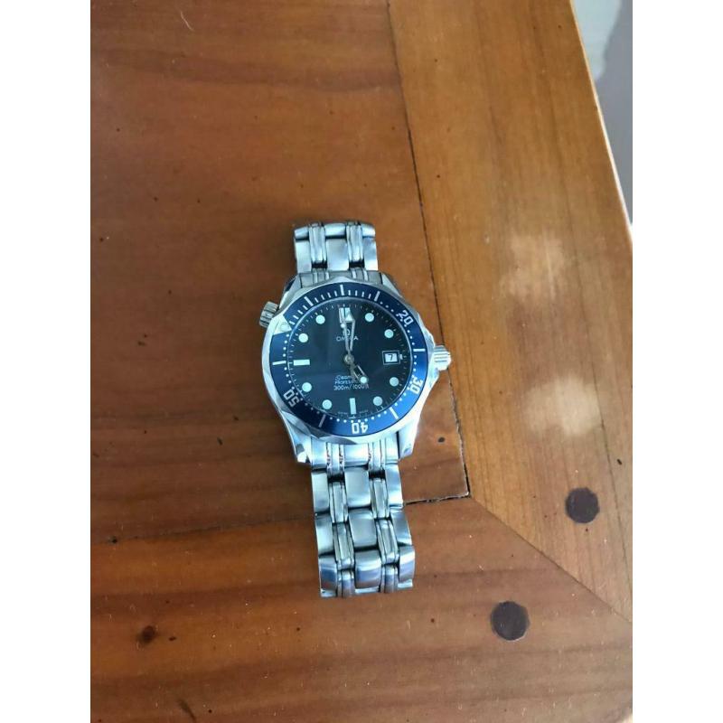 Omega Seamaster Professional