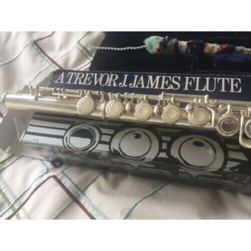 Trevor James beginner flute