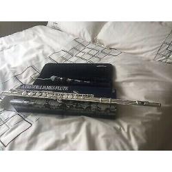Trevor James beginner flute