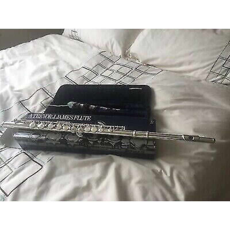 Trevor James beginner flute