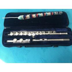 Trevor James beginner flute