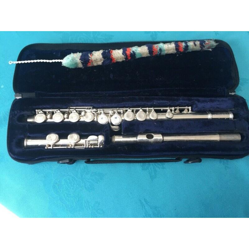Trevor James beginner flute
