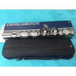 Trevor James beginner flute