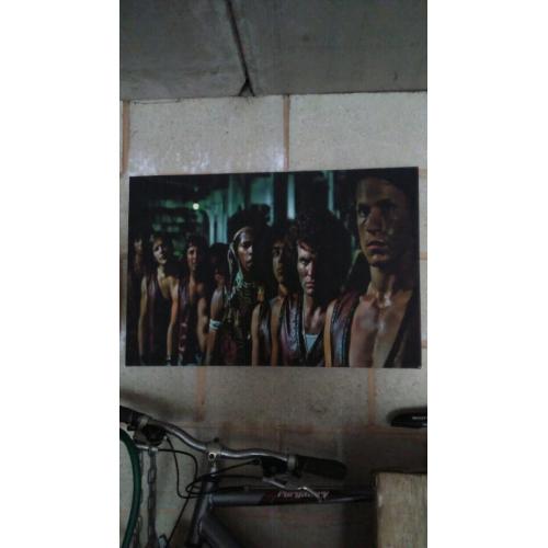 THE warriors movie canvas picture