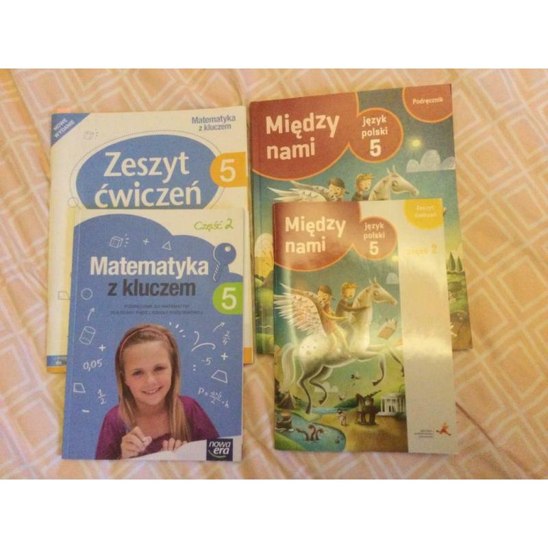 Lots of Polish and German primary school books grades levels P4-P7