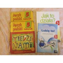 Lots of Polish and German primary school books grades levels P4-P7