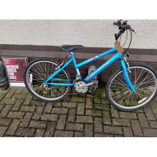 Raleigh global girls bike
