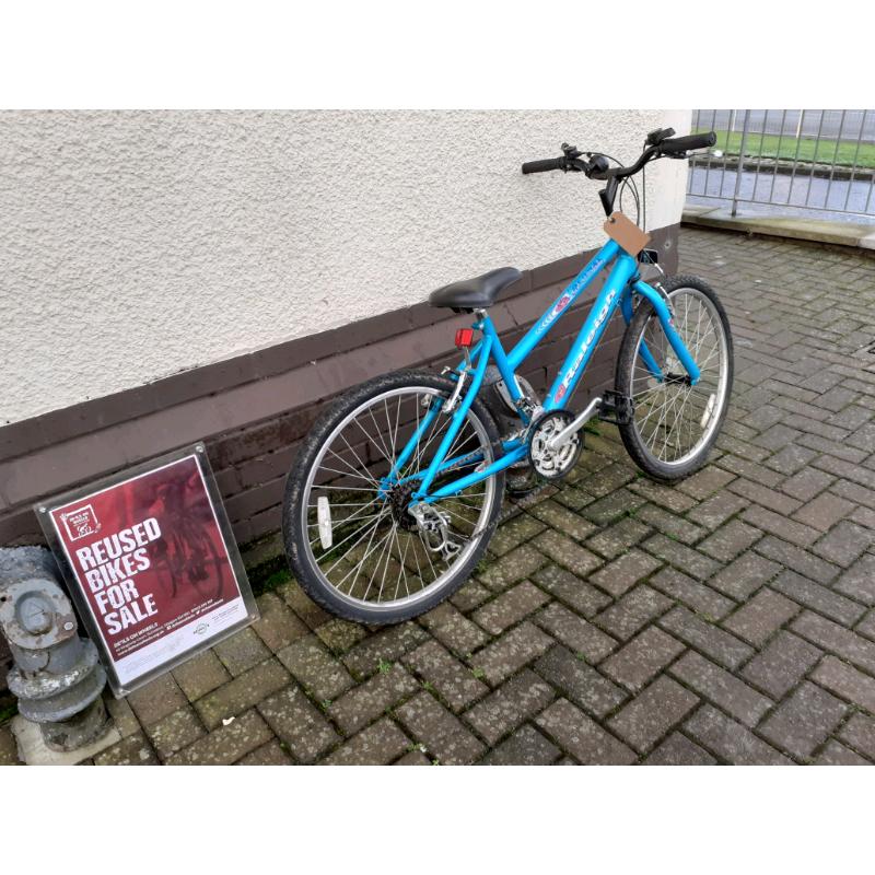 Raleigh global girls bike