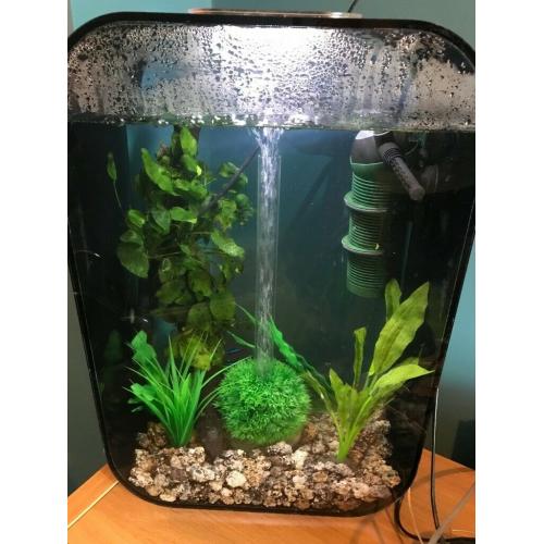 45l Biorb Life