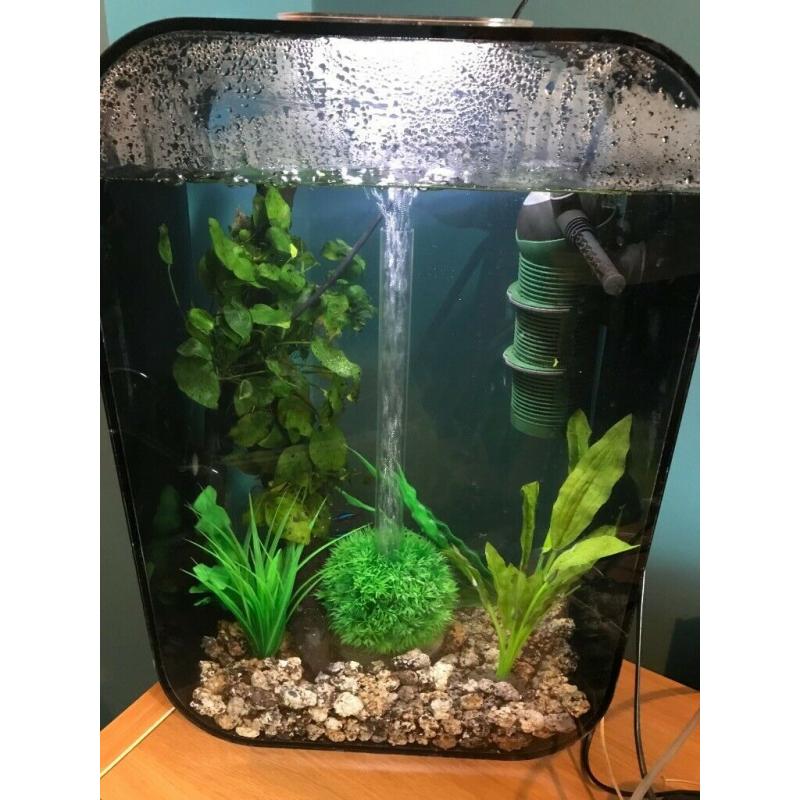 45l Biorb Life