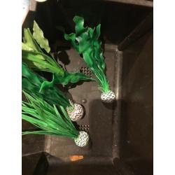 45l Biorb Life