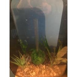 45l Biorb Life