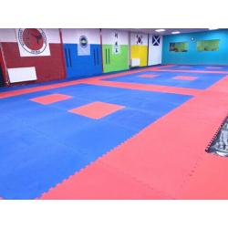 25pcs 20mm Premium High Density Jigsaw Mats Red/Blue Martial Arts, Fitness 1m2 Brand New