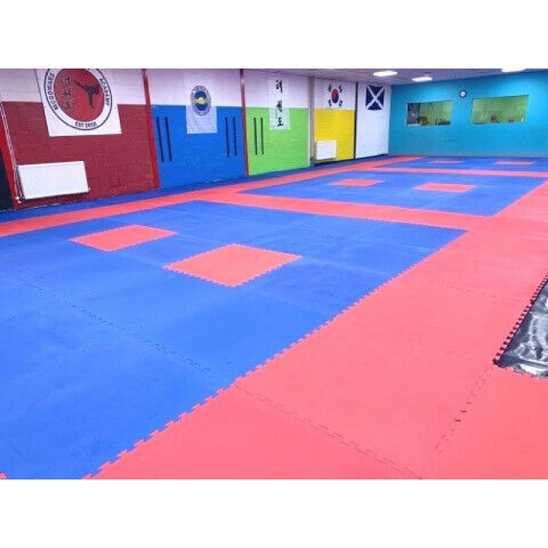 25pcs 20mm Premium High Density Jigsaw Mats Red/Blue Martial Arts, Fitness 1m2 Brand New