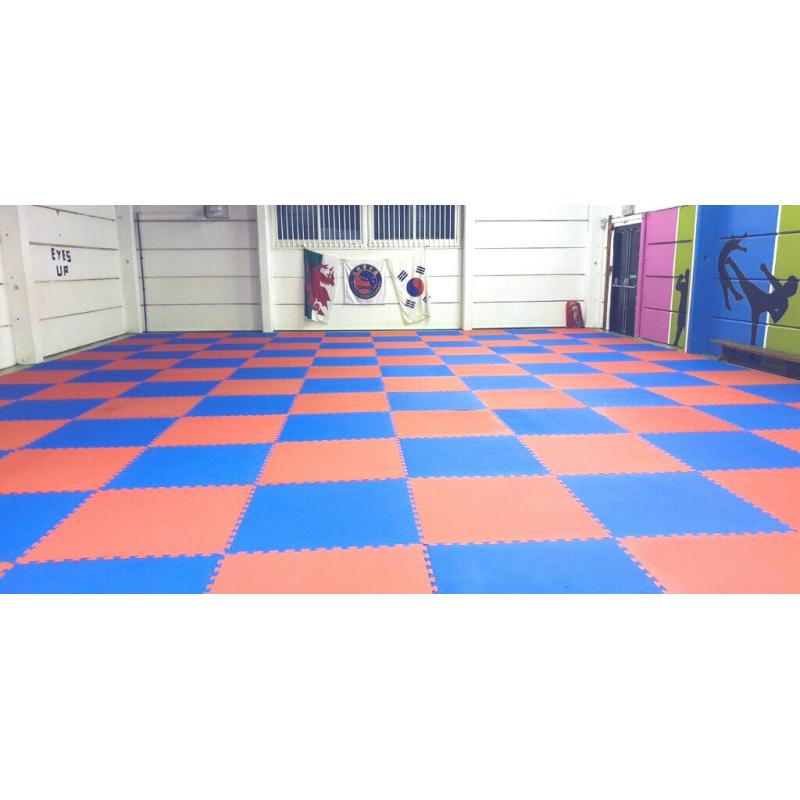 25pcs 20mm Premium High Density Jigsaw Mats Red/Blue Martial Arts, Fitness 1m2 Brand New
