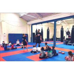 25pcs 20mm Premium High Density Jigsaw Mats Red/Blue Martial Arts, Fitness 1m2 Brand New