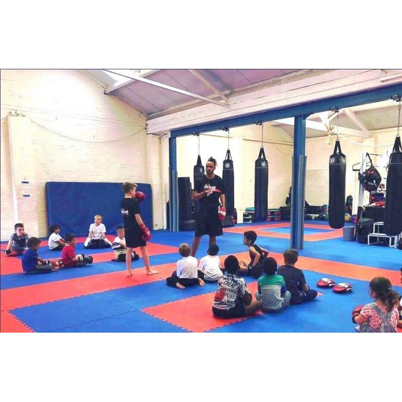 25pcs 20mm Premium High Density Jigsaw Mats Red/Blue Martial Arts, Fitness 1m2 Brand New