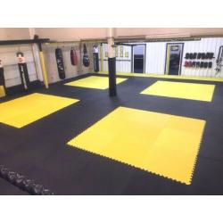 25pcs 20mm Premium High Density Jigsaw Mats Red/Blue Martial Arts, Fitness 1m2 Brand New
