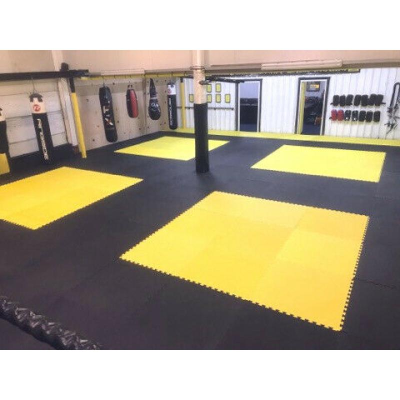 25pcs 20mm Premium High Density Jigsaw Mats Red/Blue Martial Arts, Fitness 1m2 Brand New