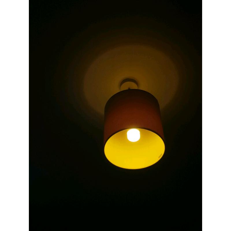 Smart bulb