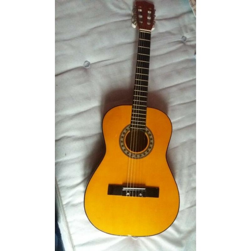 Acoustic guitar