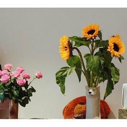 cute vases