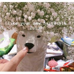 cute vases